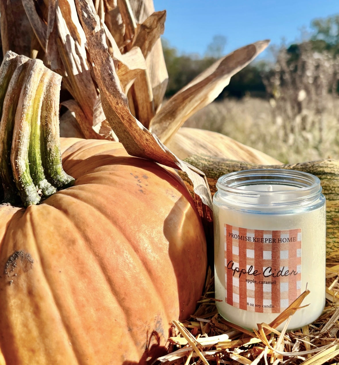 Apple Cider